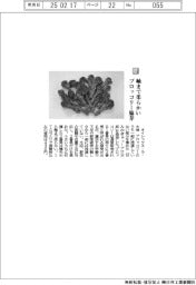 オイシックス・ラ・大地/軸まで柔らかい ブロッコリー脇芽