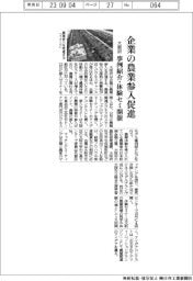 大阪府、企業の農業参入を促進 事例紹介・体験セミ開催