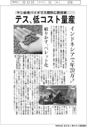 テス、ヤシ由来バイオマス燃料を低コスト量産 インドネシアで年20万トン