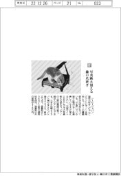 シービージャパン/写真映えする猫の爪とぎ