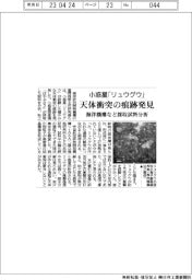 小惑星「リュウグウ」の天体衝突の痕跡発見 海洋機構などが採取試料分析