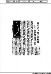 名大など、佐渡島の河川でゴカイ淡水種発見