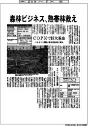 ＣＯＰ３０で巨大基金　森林ビジネスで熱帯林救え　