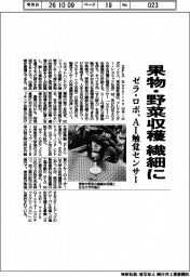 ゼラ・ロボ、ＡＩ触覚センサー　果物・野菜収穫　繊細に　