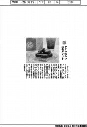 シュクレイ／ラテの味わい　抹茶ガレット