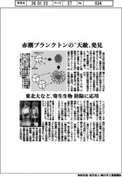 東北大など、赤潮プランクトンの「天敵」発見　寄生生物を防除に応用