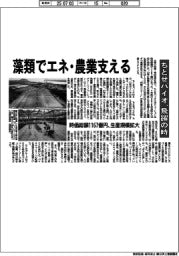 藻類でエネ・農業を支える　ちとせバイオ、飛躍の時