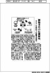 京大など、細胞老化の伝播解明　生体内での誘導可視化