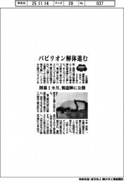 ２０２５ＥＸＰＯ／パビリオン解体進む　閉幕１カ月、報道陣に公開