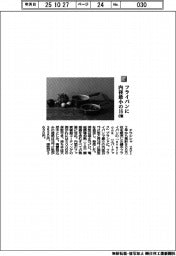 ドウシシャ／フライパンに内径最小の１６cm