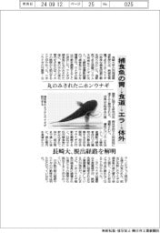長崎大、丸のみされたニホンウナギ　捕食魚の胃→食道→エラ→体外　脱出経路を解明