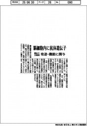 慶応大が解明、脳細胞内に抗体遺伝子　発達・機能に関与