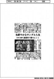 丸中工業所、色鮮やかなサンダル人気　漁業用で滑りにくく