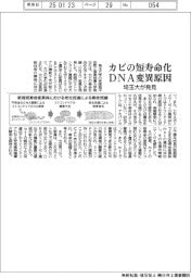 カビの短寿命化、ＤＮＡ変異が原因　埼玉大が発見