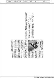 クマノミ、皮膚粘液進化でイソギンチャクと共生 沖縄科技大が解明