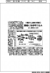 京大、大腸がん腫瘍に免疫呼び込み　薬開発など応用