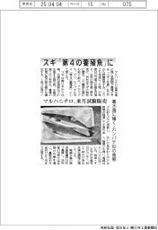 スギ「第４の養殖魚」に　マルハニチロ、来月試験販売