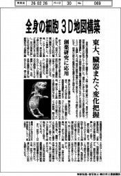 東大、全身の細胞３Ｄ地図構築　臓器またぐ変化把握