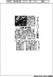 ブルーベリーに愛称、都が2品種選定