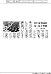ＤＩＣ、食用藻類培養の米工場を稼働　１２億円投資