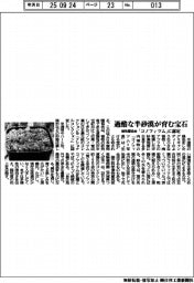 過酷な半砂漠が育む宝石「コノフィツム」　植物園協会がナショナルコレクション認定