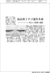 パワーエックスとＪＡＬ　高品質イチゴ通年生産