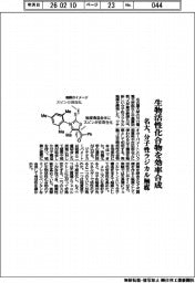 名大、分子性ラジカル触媒開発　生物活性化合物を効率合成