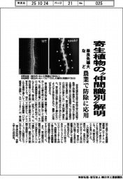 奈良先端大など、寄生植物の「仲間識別」解明　農業で防除に応用
