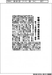 阪大、腎臓の病変を高精度検出　生検画像をＡＩ解析