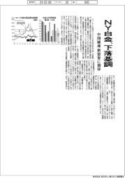リード／ＮＹ白金、下落基調　中国減速　新需要に期待