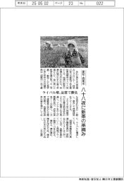 愛知・西尾市、八十八夜に新茶の茶摘み