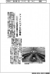 ノリタケとトクイテン、ファインバブルが効果　小松菜収量増など確認