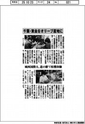 城西国際大、千葉・東金をオリーブ産地に　道の駅で収穫体験