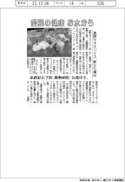 愛猫の健康お水から　長野セラミックス、軟水化棒材