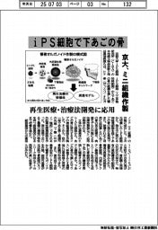 京大、ｉＰＳ細胞で下あごの骨のミニ組織作製