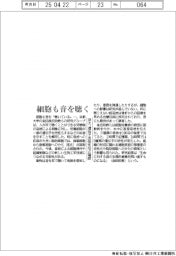 細胞も音を聞く　京大、遺伝子活性化など確認