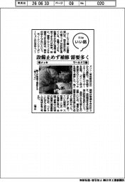 ファイルいい話／ワールド工業　筆メッキ
