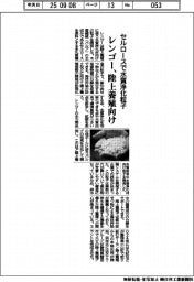 レンゴー、セルロースで水質浄化粒子を開発　陸上養殖向け