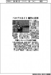 千葉大、ペロブスカイトを稲作に活用　キャンパス水田で検証