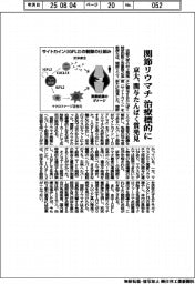 京大、関節リウマチ　治療標的に　関与たんぱく質発見