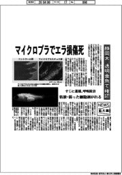 ニュース拡大鏡／静岡大、マイクロプラでエラ損傷死　透明金魚で確認