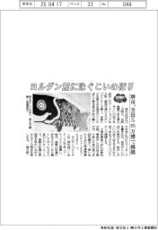 ２０２５ＥＸＰＯ／ヨルダン館に泳ぐこいのぼり　堺市、全長５ｍ万博で掲揚