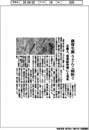 近畿大、菌寄生菌で農薬耐性うどんこ病防ぐ