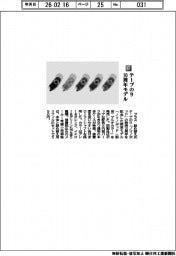 プラス／テープのり　１０周年モデル