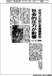 ＯＩＳＴ、クマノミのしま模様変化に社会的圧力が影響