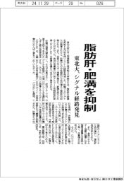 東北大、脂肪肝・肥満を抑制　シグナル経路を発見