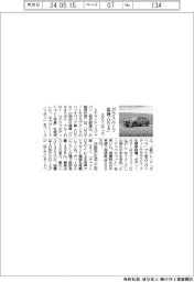 ステランティス、「ＤＳ４」特別仕様車を投入　ガラスルーフ装備