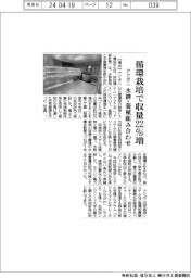 アクポニ、循環栽培で収量２２％増　水耕・養殖組み合わせ