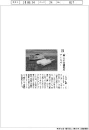オハヨー乳業/岡山の白桃使用 アイスバー
