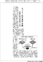 東大、サブナノ厚の半導体単離　溶媒内超音波処理で実現